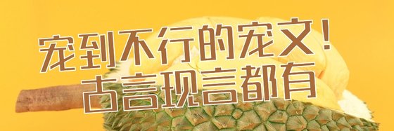 寵到不行的寵文！古言現言都有