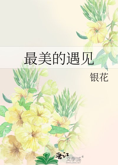 最美的遇見